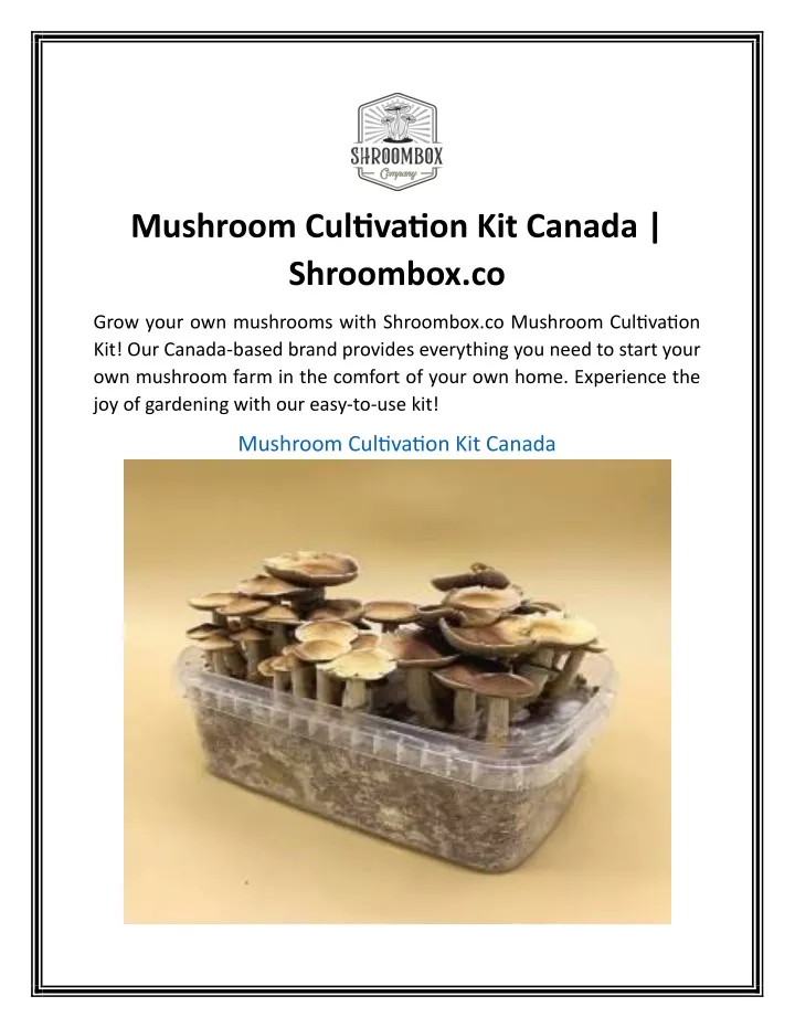 mushroom cultivation kit canada shroombox co