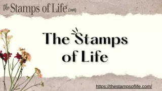 What Makes Card Dies at The Stamps of Life Stand Out?