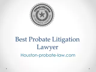 Best Probate Litigation Lawyer - Houston-probate-law.com