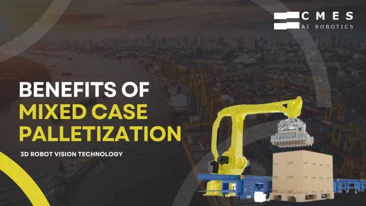 benefits of mixed case palletization 3d robot