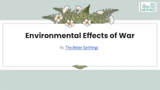 Environmental Effects of War | The Better Earthlings