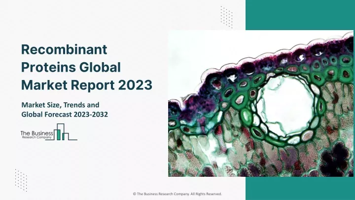 recombinant proteins global market report 2023