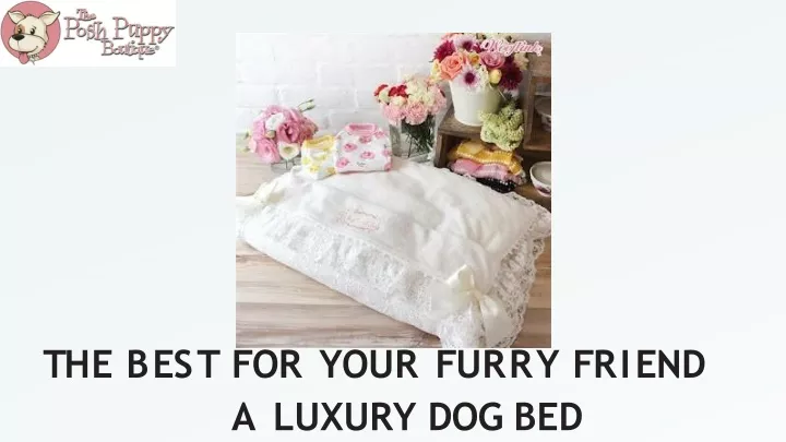 t h e b e s t f o r y o u r f u rr y f r i e n d a luxury dog bed