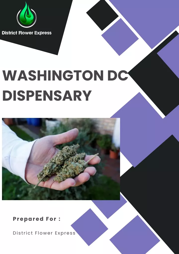 washington dc dispensary