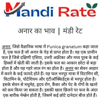 अनार का भाव - मंडी रेट