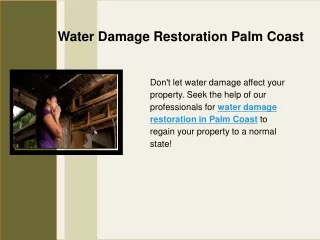 Water Damage Restoration Palm Coast