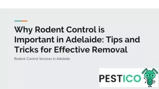 _rodent control Adelaide