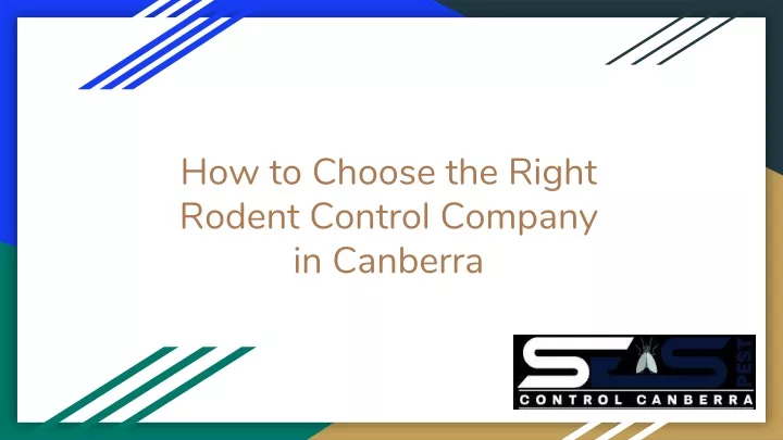 how to choose the right rodent control company in canberra