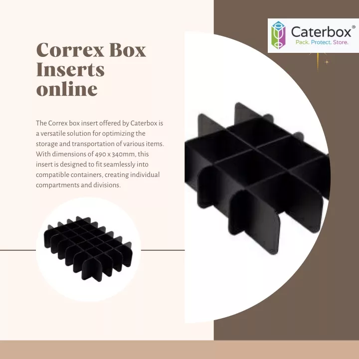 correx box inserts online