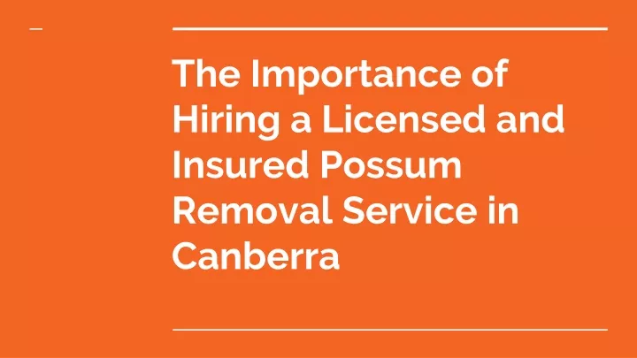 the importance of hiring a licensed and insured possum removal service in canberra