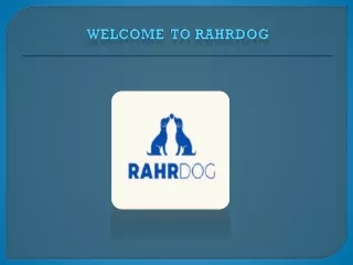 Buy pup ball online  - Rahrdog