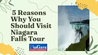 5 Reasons Why You Should Visit Niagara Falls Tour-Niagaratourcompany