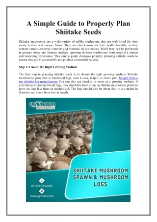 A Simple Guide to Properly Plan Shiitake Seeds