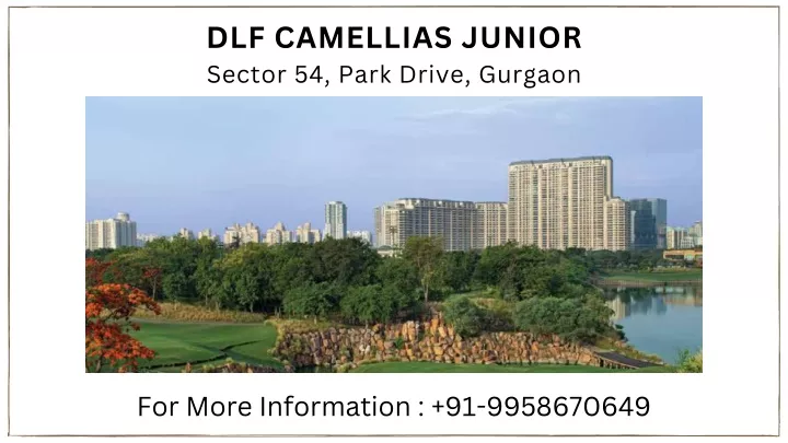 dlf camellias junior sector 54 park drive gurgaon