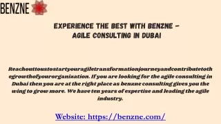 experience the best with benzne agile consulting