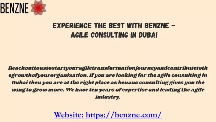 experience the best with benzne agile consulting