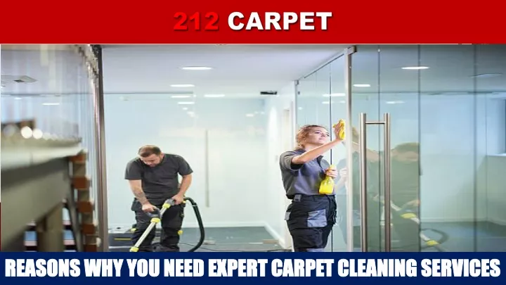reasons why you need expert carpet cleaning