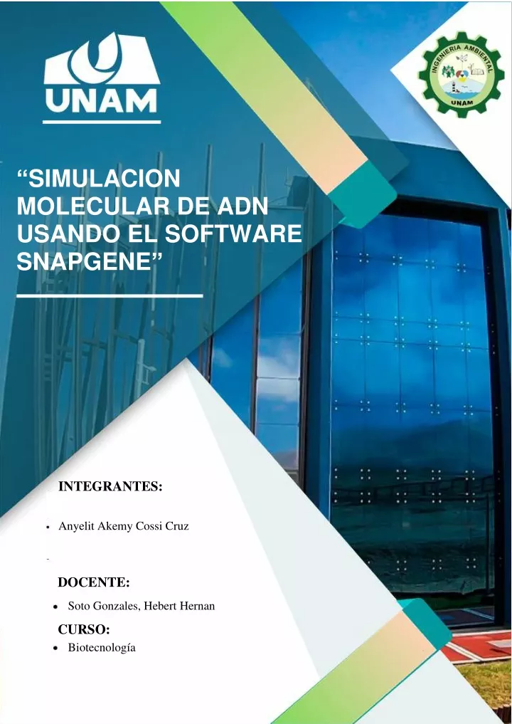 simulacion molecular de adn usando el software