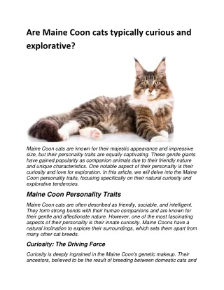 Are Maine Coon cats typically curious and explorative?