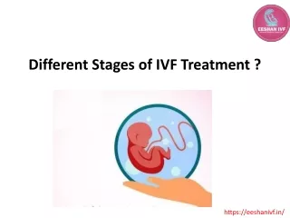 Different Stages of IVF Treatment