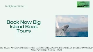 Book Now Big Island Boat Tours at Sunlight on Water
