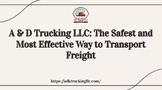 Find the Best Freight Trucking Service in USA