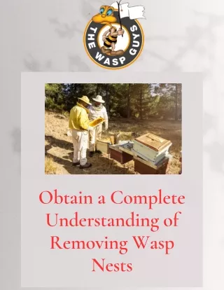 Obtain a Complete Understanding of Removing Wasp Nests