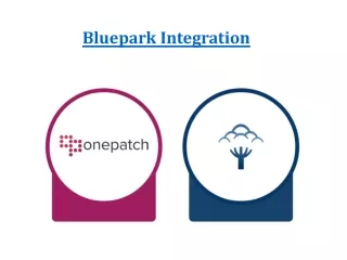 b luepark integration