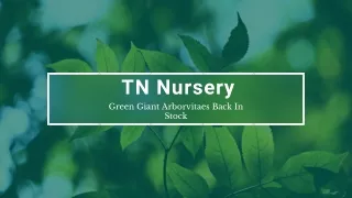 TN Nursery Planting and Maintaining Native Plants