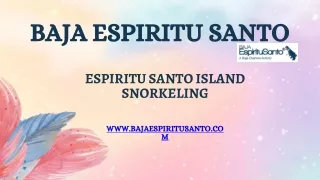 The Most Beautiful Tour To Espiritu Santo Island Snorkelling