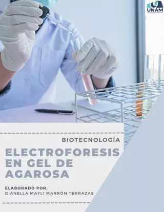 “SIMULACIÓN DE ELECTROFORESIS EN GEL DE AGAROSA CON EL SOFTWARE SNAPGENE”