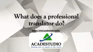 What does a professional translator do