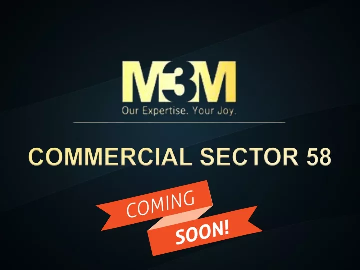 commercial sector 58