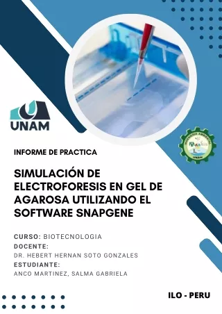 SIMULACIÓN DE ELECTROFORESIS EN GEL DE AGAROSA UTILIZANDO EL SOFTWARE SNAPGENE