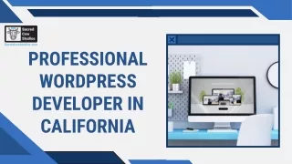Professional WordPress Developer In California