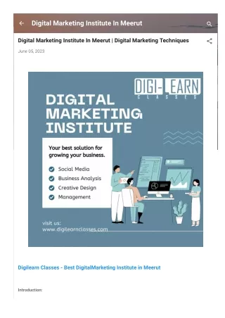 digital marketing institute in meerut