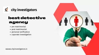 no-1 detective agency in ludhiana