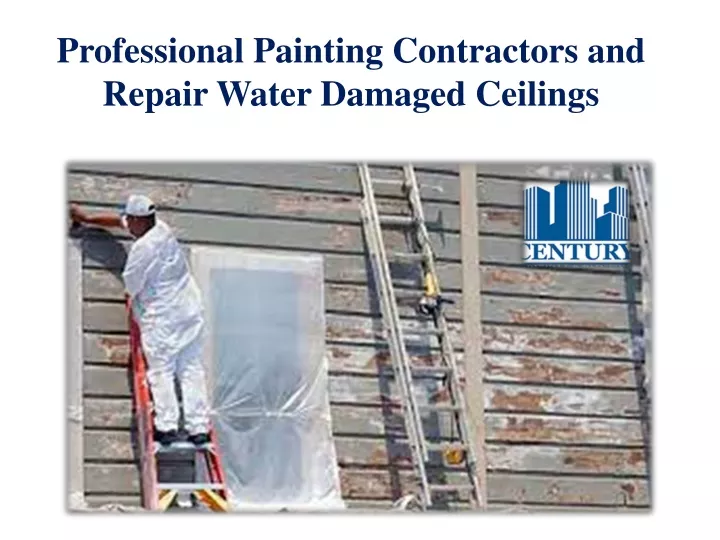 professional painting contractors and repair