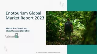 Enotourism Market Outlook Report 2023-2032 | Trends, Analysis, Insights