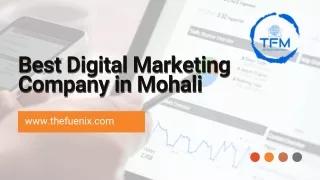 Best Digital Marketing Company  in Mohali