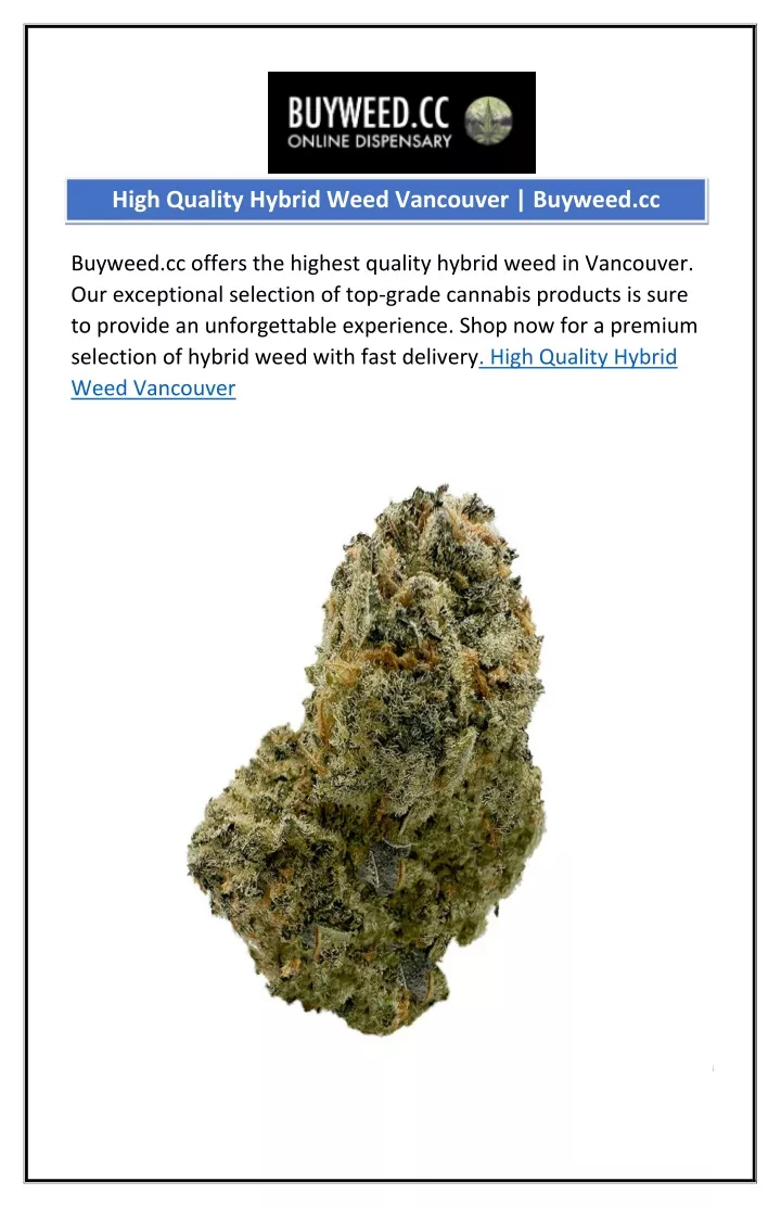 high quality hybrid weed vancouver buyweed cc