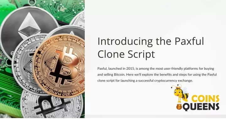 introducing the paxful clone script