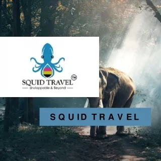 Kerala Wildlife Tour Packages | Squid Travel