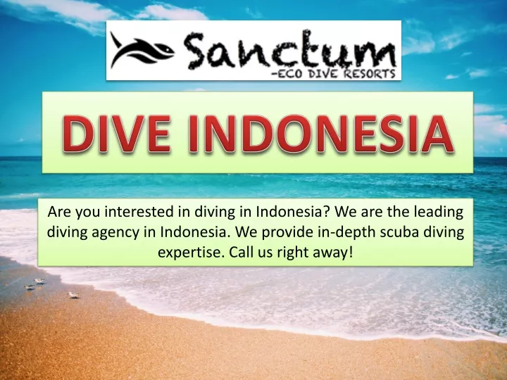 dive indonesia