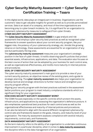 cyber security maturity assessment cyber security