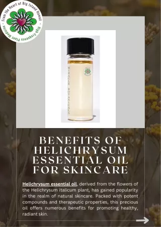 Helichrysum Essential Oil's Skincare Benefits