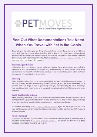 Find Out What Documentations You Need When You Travel with Pet in the Cabin