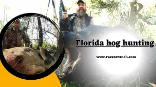 Experience Thrilling Florida Hog Hunting Adventures at Razzor Ranch