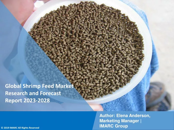 global shrimp feed market research and forecast