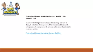 professional digital marketing services raleigh